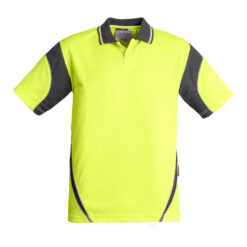 ZH248 Product Yellow Charcoal 01