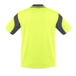 ZH248 Product Yellow Charcoal 02