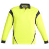 ZH249 Product Yellow Charcoal 01