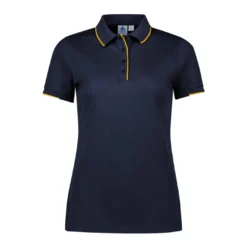 Navy / Gold